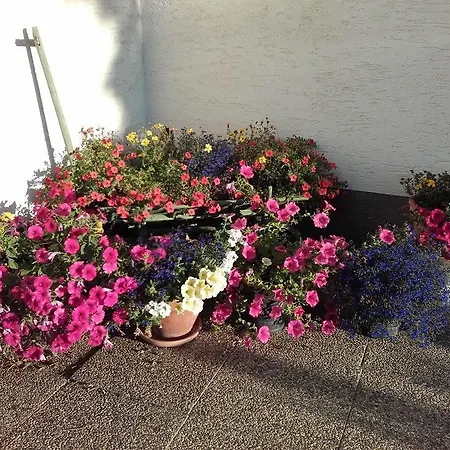 Strasser Apartment Ramsau am Dachstein